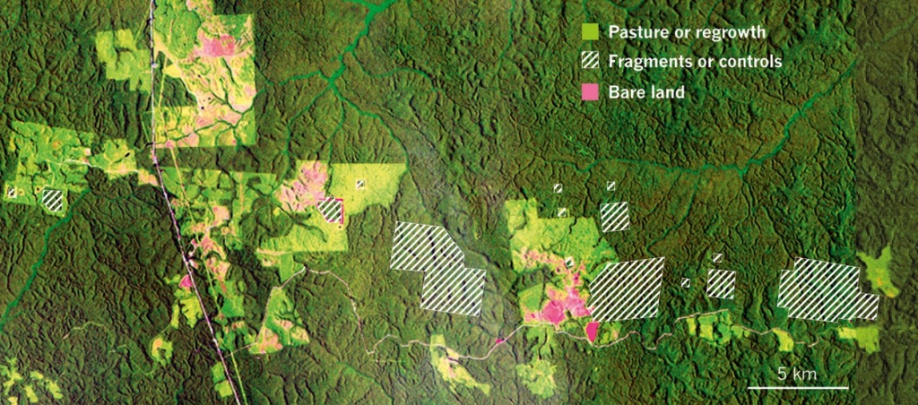 Sites used by Biological Dynamics of Forest Fragments Project in Brazil